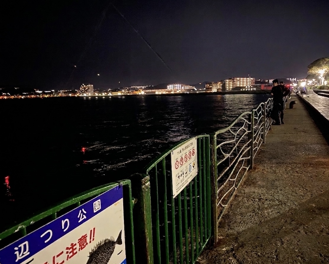 海辺つり公園釣行風景