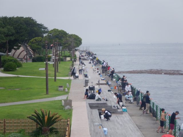 横須賀市海辺つり公園・7月4日釣場情報（8:30現在）