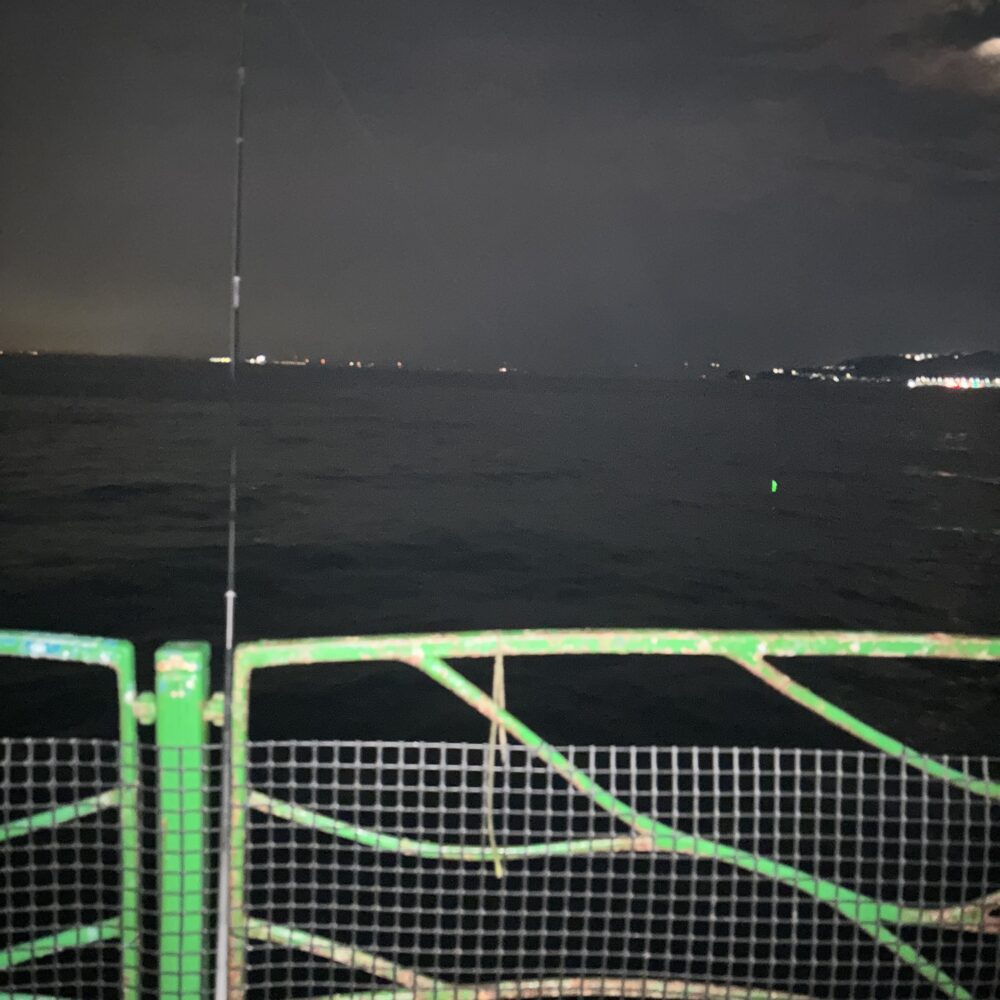 海辺つり公園に電気ウキが灯る夜(2026年8月1日)