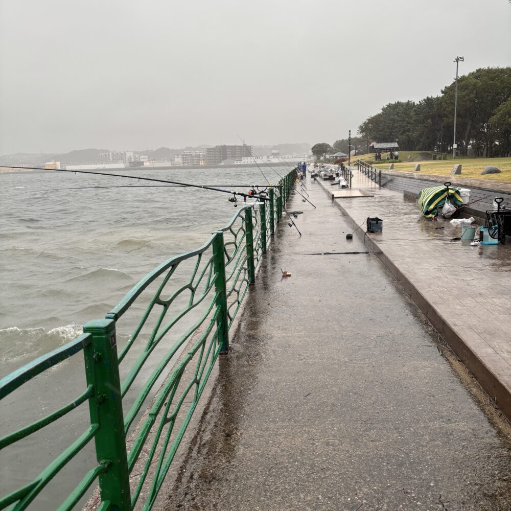 2026年8月13日18時30分頃の海辺つり公園先端付近の風景