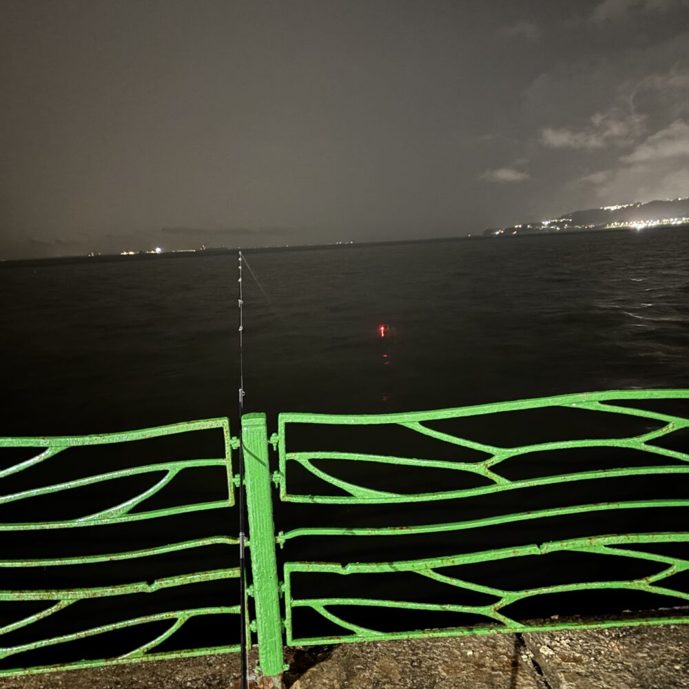 海辺つり公園に電気ウキが灯る夜(2026年8月22日)