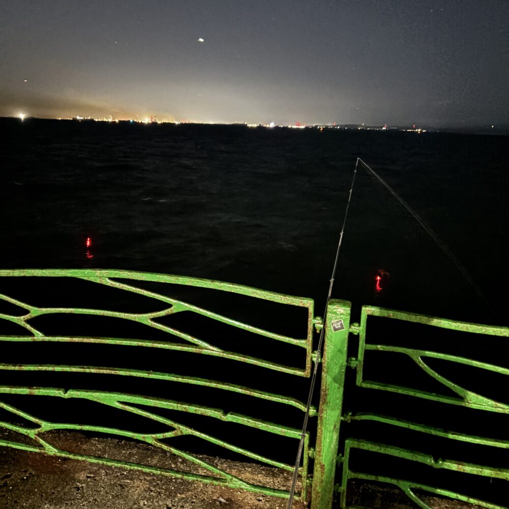 海辺つり公園に電気ウキが灯る夜(2026年10月9日)
